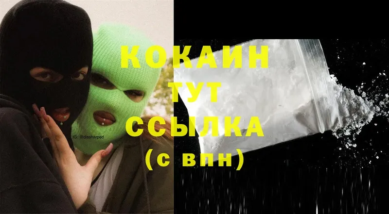 COCAIN FishScale  купить закладку  Томск 